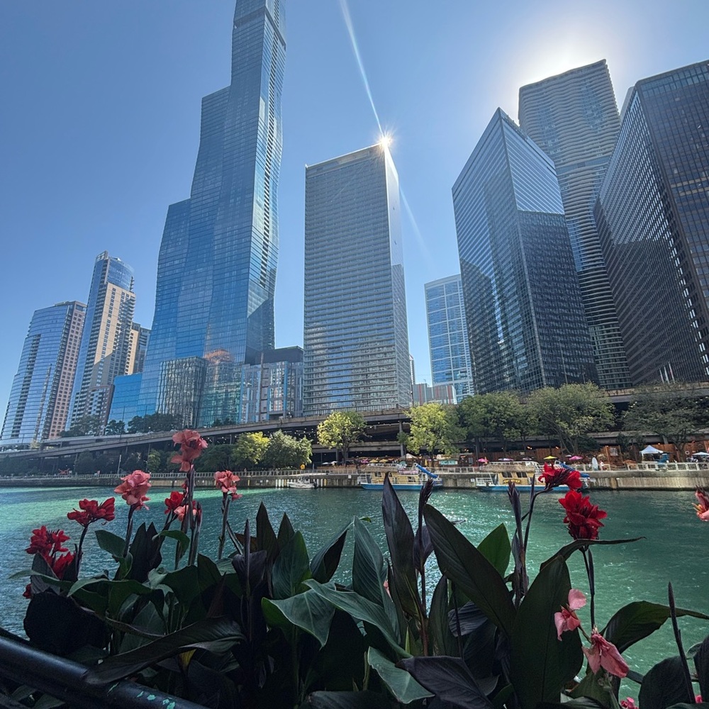 Meet your Posher, Robin